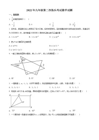 2022学年山东省德州市临邑县九年级下学期第二次练兵考试数学试题(word版含答案)