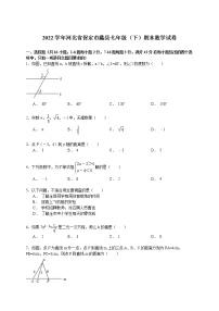 【解析版】2022年保定市蠡县七年级下期末数学试卷