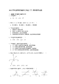 【解析版】2022学年贵州省安顺市七年级下期末数学试卷