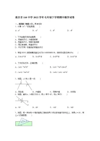 【解析版】重庆市110中学2022学年七年级下期中数学试卷