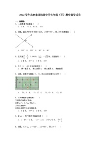 【解析版】北京市北纬路中学2022年七年级下期中数学试卷