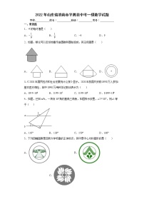 2022年山东省济南市平阴县中考一模数学试题(word版含答案)