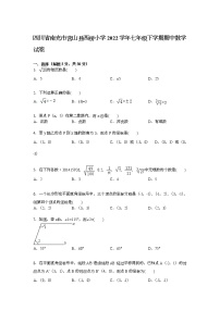 【解析版】营山县西桥小学2022年七年级下期中数学试卷