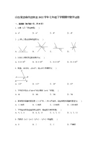 【解析版】济南市济阳县2022学年七年级下期中数学试卷