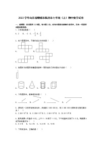 【解析版】聊城市临清市2022年七年级上期中数学试卷