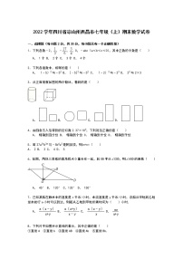 【解析版】凉山州西昌市2022学年七年级上期末数学试卷