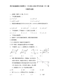 四川省成都市天府师大一中2021-2022学年七年级（下）期中数学试卷（含解析）