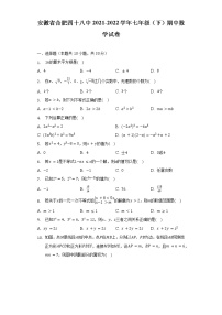 安徽省合肥四十八中2021-2022学年七年级（下）期中数学试卷（含解析）