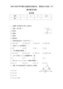 2021-2022学年浙江省温州市瑞安市、苍南县七年级（下）期中数学试卷-（含解析）