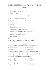 河南省南阳市新野县2021-2022学年七年级（下）期中数学试卷（含解析）