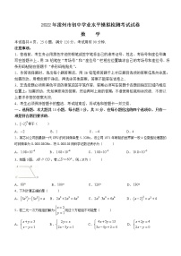 2022年广东省湛江市雷州市初中学业水平模拟检测考试数学试题(word版含答案)