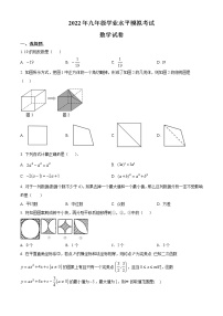 2022年江西省萍乡市九年级第二次学业水平检测（二模）数学试题(word版含答案)