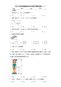 2022年甘肃省陇南市中考数学模拟试题（一）(word版含答案)