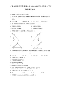 广东省深圳大学外国语中学2021-2022学年七年级（下）期中数学试卷（含解析）