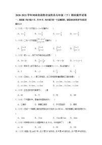 2021学年河南省洛阳市宜阳县七年级（下）期末数学试卷