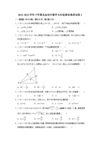 2022年人教版七年级下册数学--期末复习典型试卷2