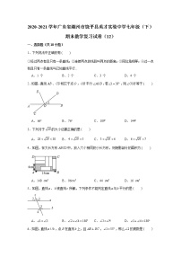 2021学年广东省潮州市饶平县英才实验中学七年级（下）期末数学复习试卷（12）