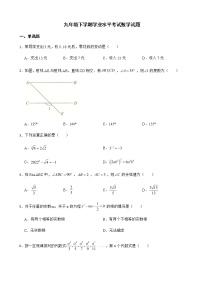 2022年云南省玉溪市九年级下学期学业水平考试数学试题附答案