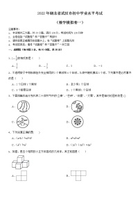 2022年湖北省武汉市初中学业水平考试数学模拟卷一