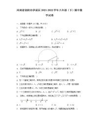 河南省洛阳市伊滨区2021-2022学年八年级（下）期中数学试卷（含解析）