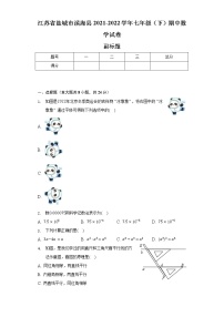 江苏省盐城市滨海县2021-2022学年七年级（下）期中数学试卷（含解析）