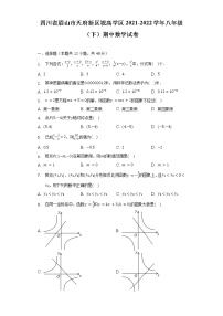 四川省眉山市天府新区视高学区2021-2022学年八年级（下）期中数学试卷（含解析）