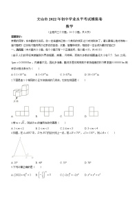 2022年云南省文山州文山市初中学业水平考试模拟数学试题(word版含答案)