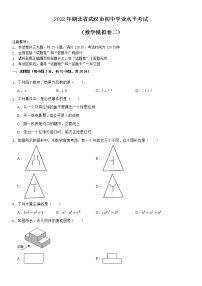 2022年湖北省武汉市初中学业水平考试数学模拟卷二