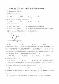 2022年河南省信阳市九年级5月中考模拟数学试卷（无答案）