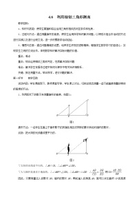 数学九年级上册6 利用相似三角形测高教案