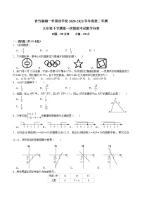 青竹湖湘一外国语学校2020-2021学年度第二学期九年级下学期第一次模拟考试数学试卷及参考答案