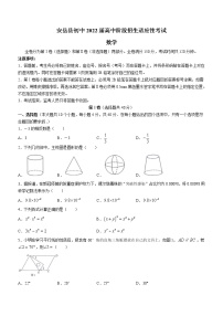 2022年四川省资阳市安岳县九年级第二次诊断考试数学试题 (word版含答案)