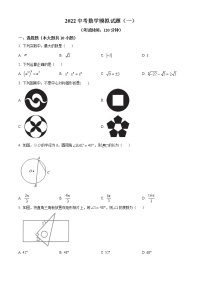 2022年辽宁省朝阳市建平县部分学校九年级中考模拟一数学卷及答案（文字版）