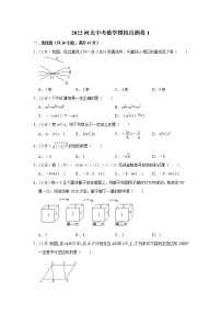 2022年河北省九年级中考数学模拟自测卷1(word版含答案)