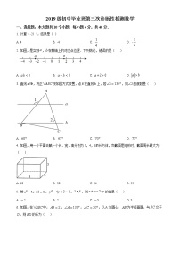 2022年四川省南充市名校九年级第三次诊断性检测数学试题(word版含答案)