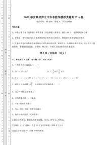 2022年安徽省淮北市中考数学模拟真题测评 A卷(含答案及详解)