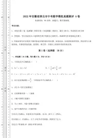 2022年安徽省淮北市中考数学模拟真题测评 A卷(含答案及详解)