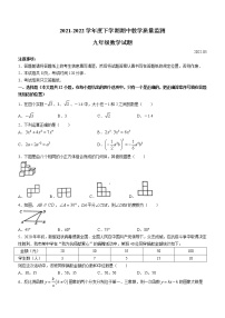 2022学年山东省泰安市肥城市九年级下学期期中（一模）考试数学试题(word版含答案)