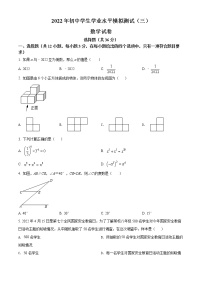 2022年山东省聊城市东阿县中考三模数学试题(word版含答案)