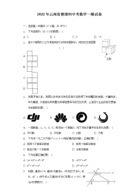 2022年云南省楚雄州中考数学一模试卷(含解析)