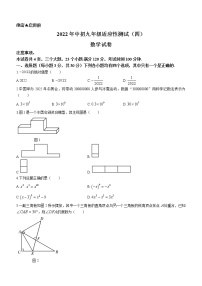 2022年河南省信阳市息县九年级下学期适应性测试（四）数学试题(word版含答案)