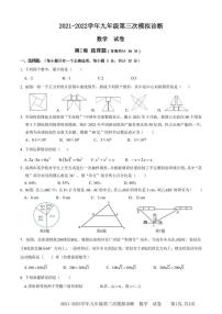 2022年广东省深圳市部分学校九年级下学期第三次模拟诊断数学试题