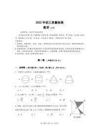 广东省深圳市龙岗区2021~2022学年九年级下学期 第一次摸底考试数学试卷(不含答案)