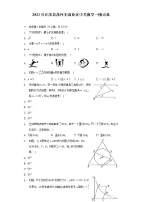 2022年江苏省苏州市高新区中考数学一模试卷(含解析)
