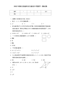 2022年浙江省温州市文成县中考数学一模试卷（含解析）