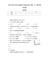 2021-2022学年山东省济宁市梁山县八年级（下）期中数学试卷（含解析）