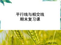 人教版七年级数学下册 第五 章平行线与相交线期末复习课件