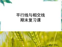 人教版七年级数学下册 第五 章平行线与相交线期末复习课件