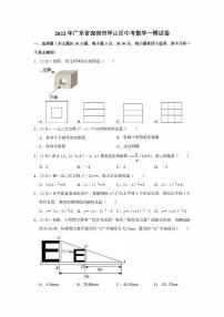 2022年广东省深圳市坪山区中考数学一模试卷（学生版+解析版）