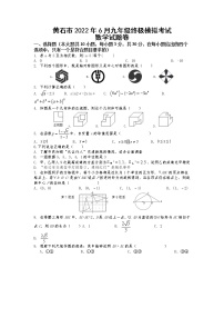 2022年湖北省黄石市九年级终极模拟考试数学试题（含答案）